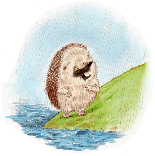 Ежик стоит у воды