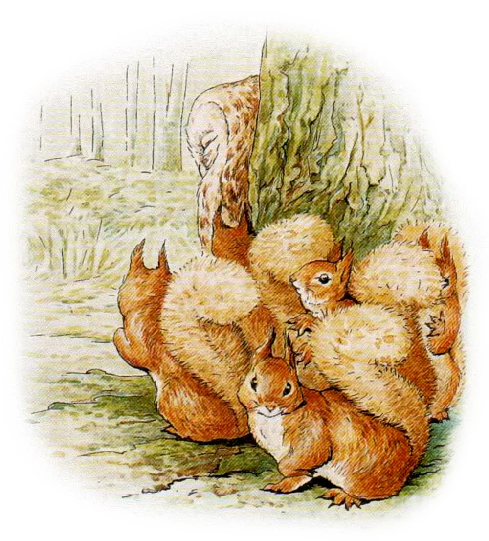 Бельчата подглядывают за Филином