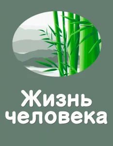 Жизнь человека