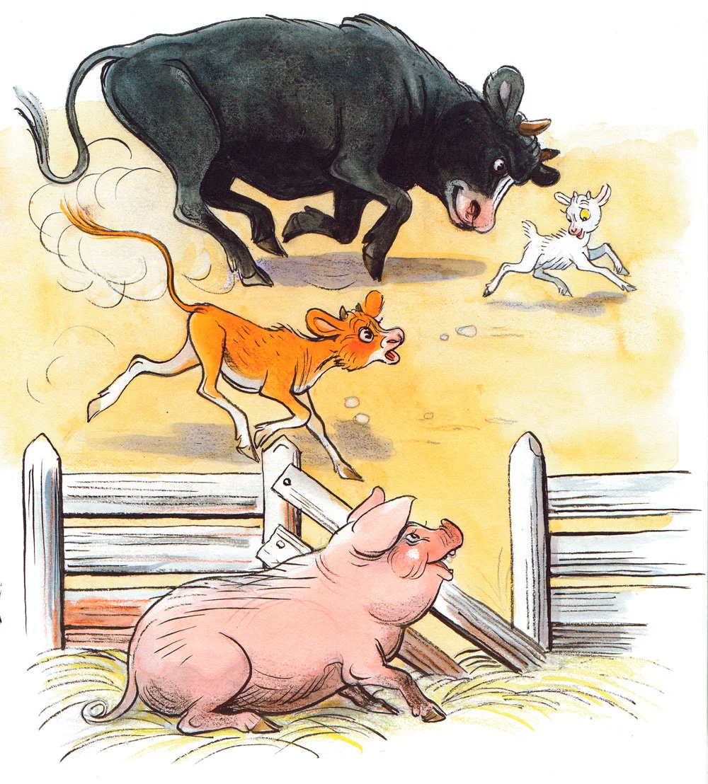 Свинья смотрит на погоню за козленком