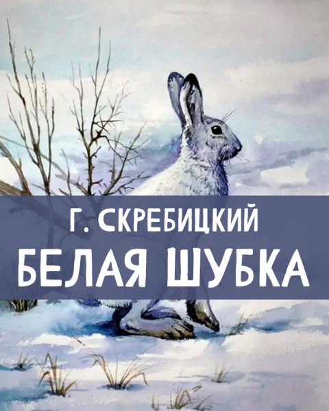 Белая шубка