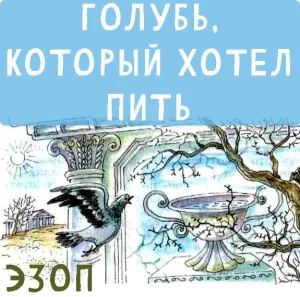 Голубь, который хотел пить