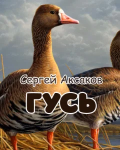 Гусь