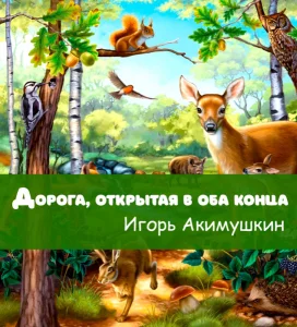 Дорога, открытая в оба конца