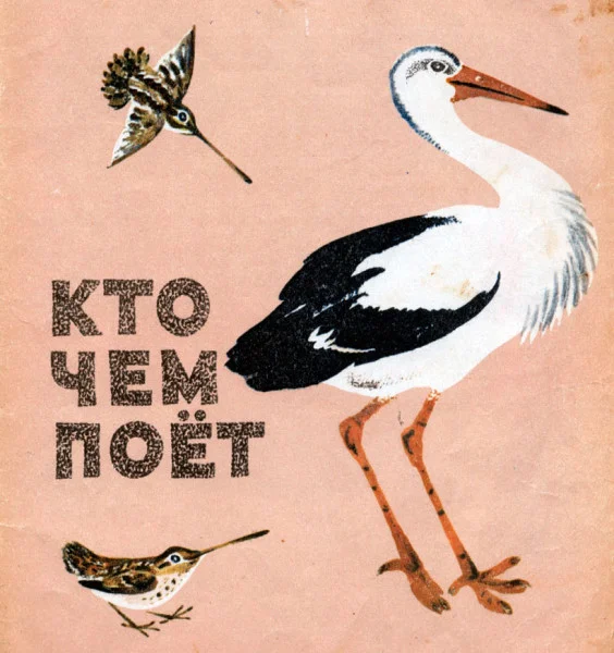 Кто чем поёт?
