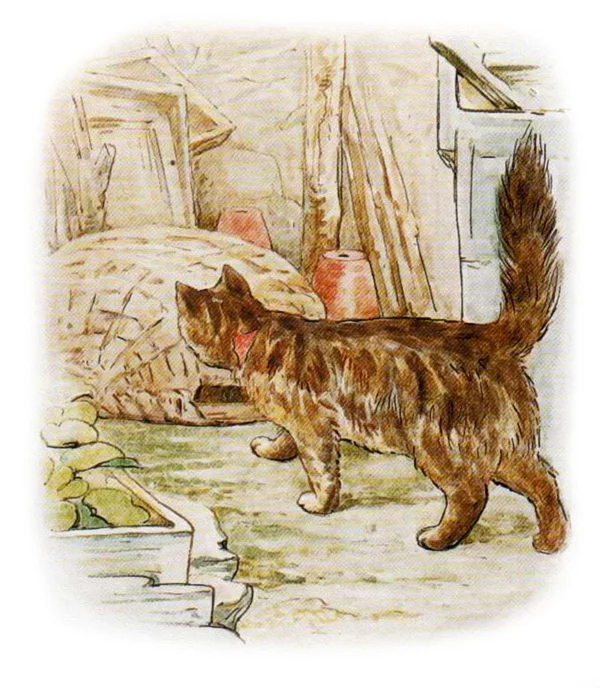 Кошка ходит