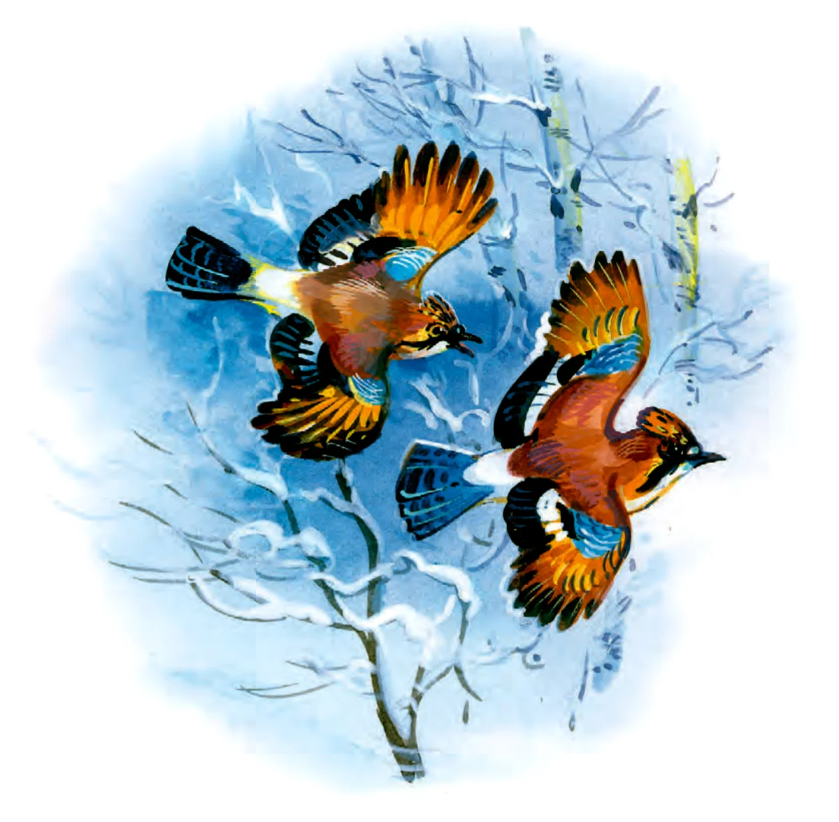 Сойки летят