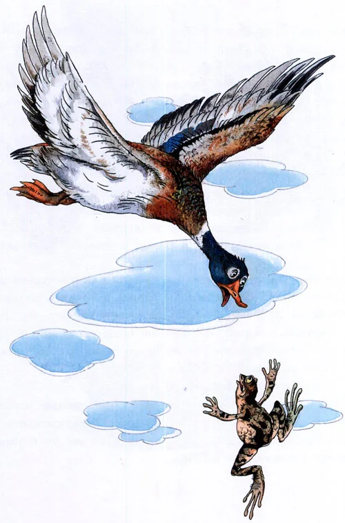 Лягушка-путешественница - картинка 9