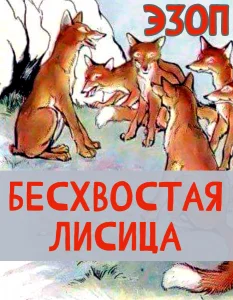 Бесхвостая лисица