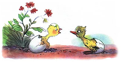 Цыпленок и утенок, фото 2