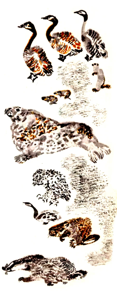 Утки и морж