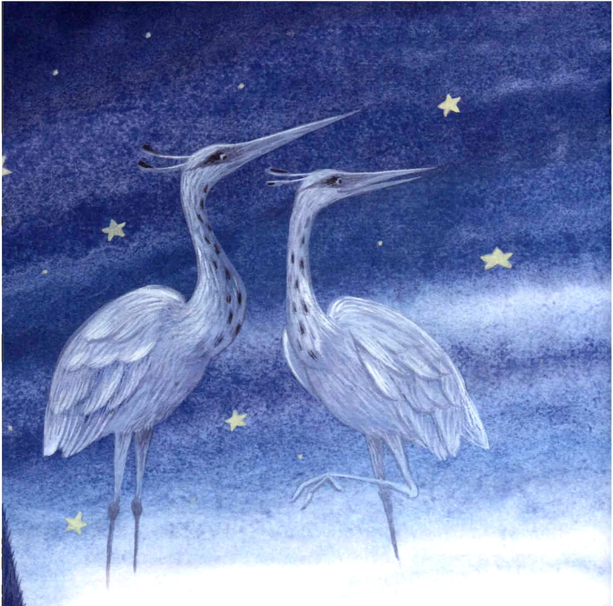 Две цапли в ночи