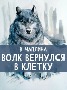 Волк вернулся в клетку