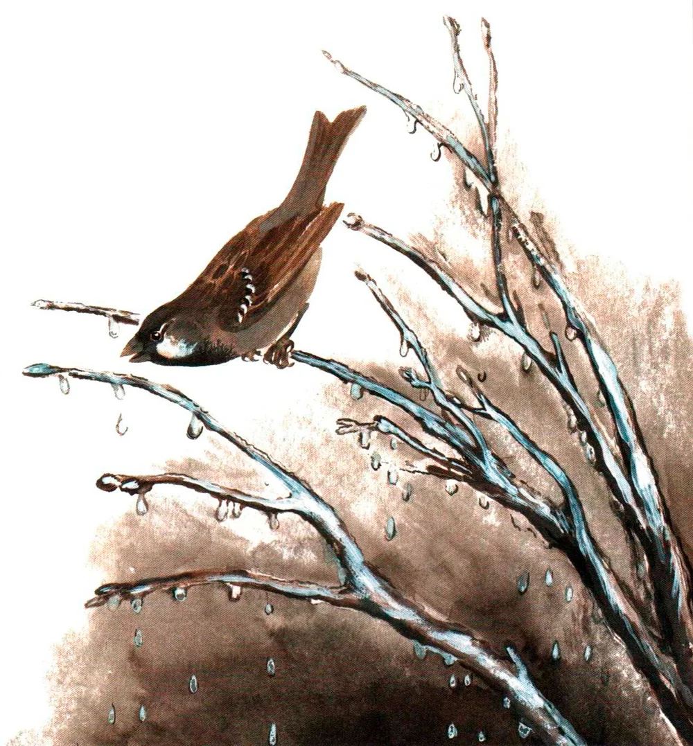 Воробей на веточке