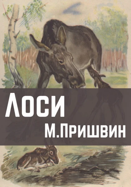 Лоси