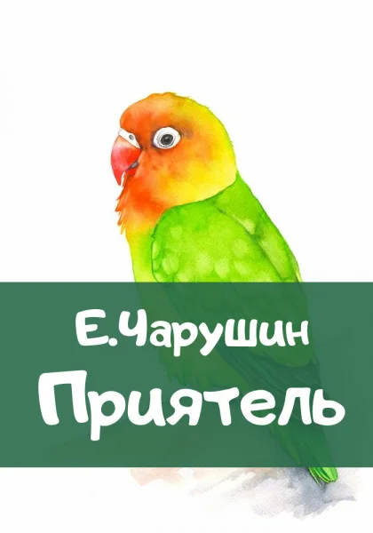 Приятель