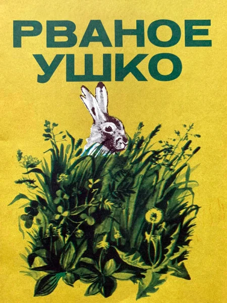 Рваное ушко