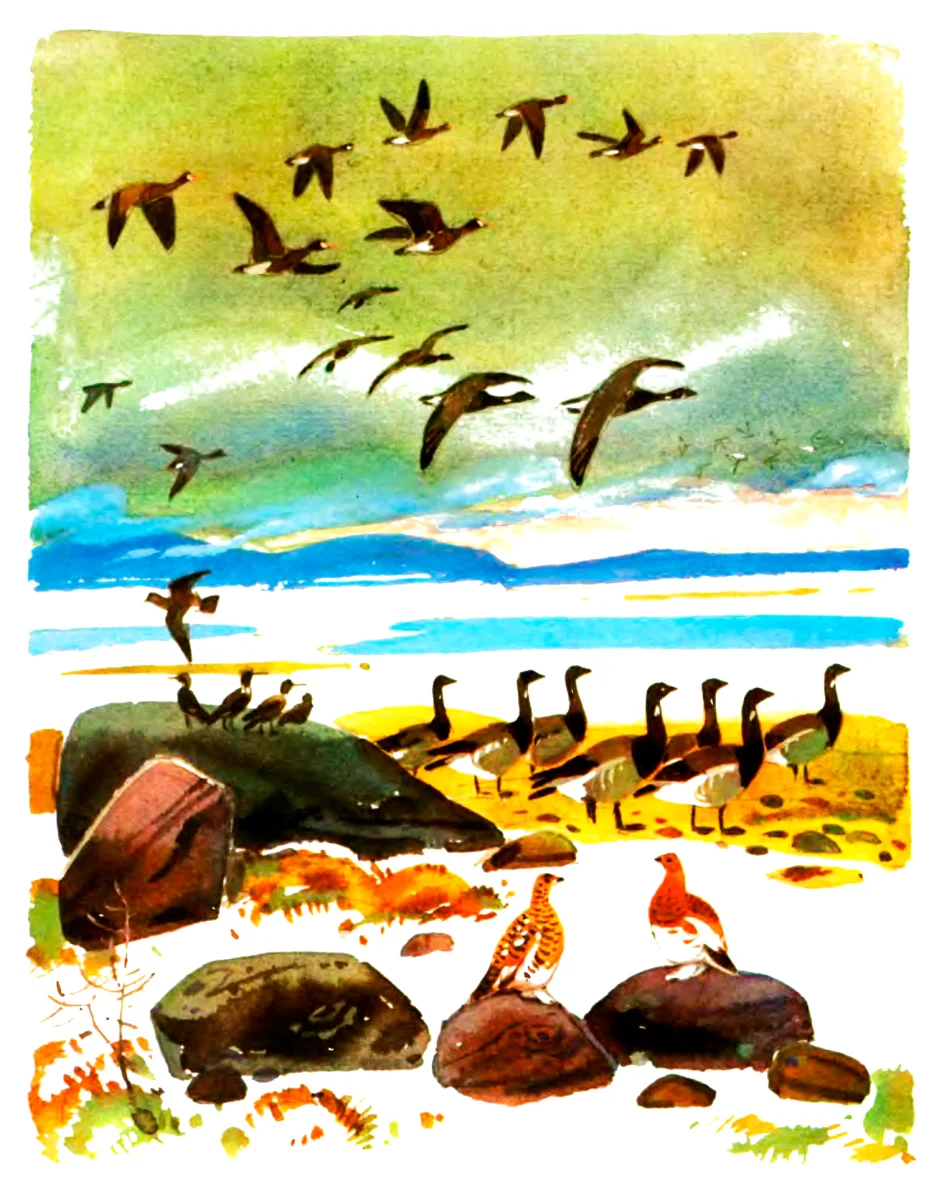 Пейзаж с птицами