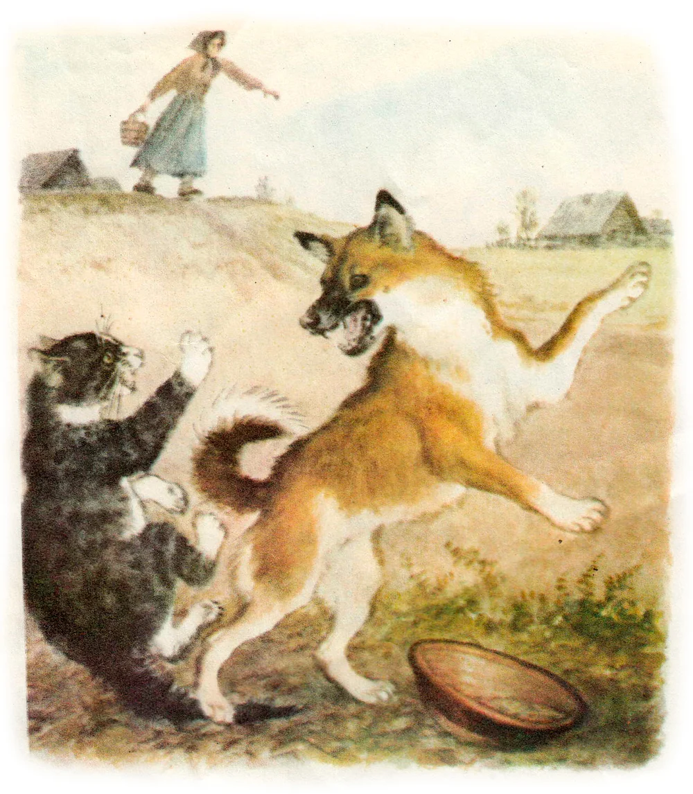 Драка собаки с кошкой