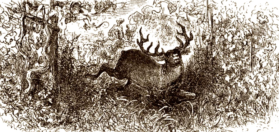 Олень в лесу