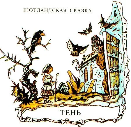Тень