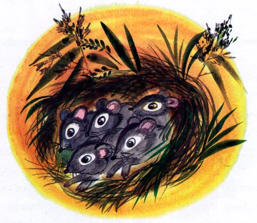 Сказка Жил-был Фип - фото 9