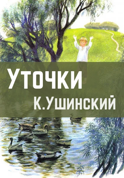 Уточки