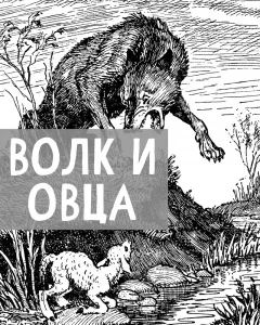 Волк и овца