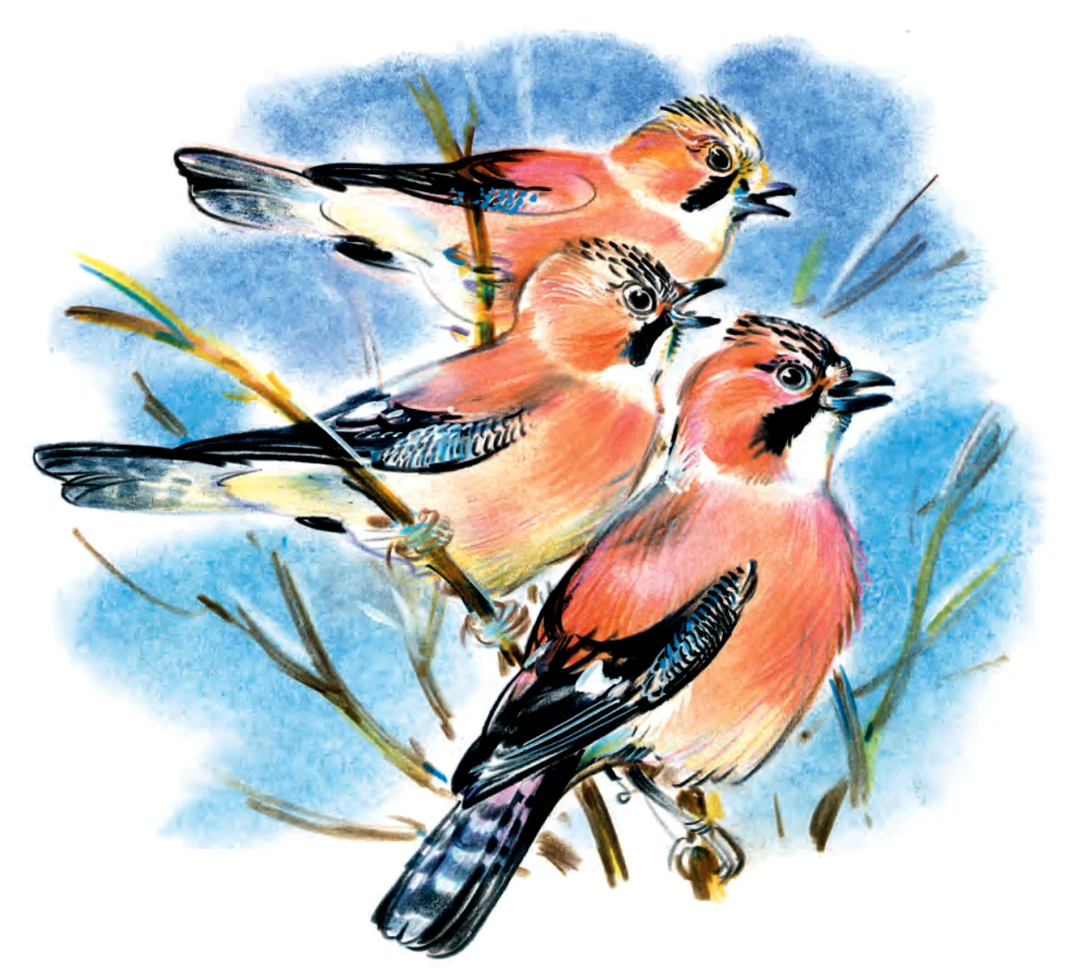 Маленькие птички на дереве