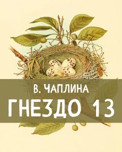 Гнездо 13