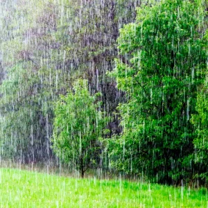 Какие бывают дожди