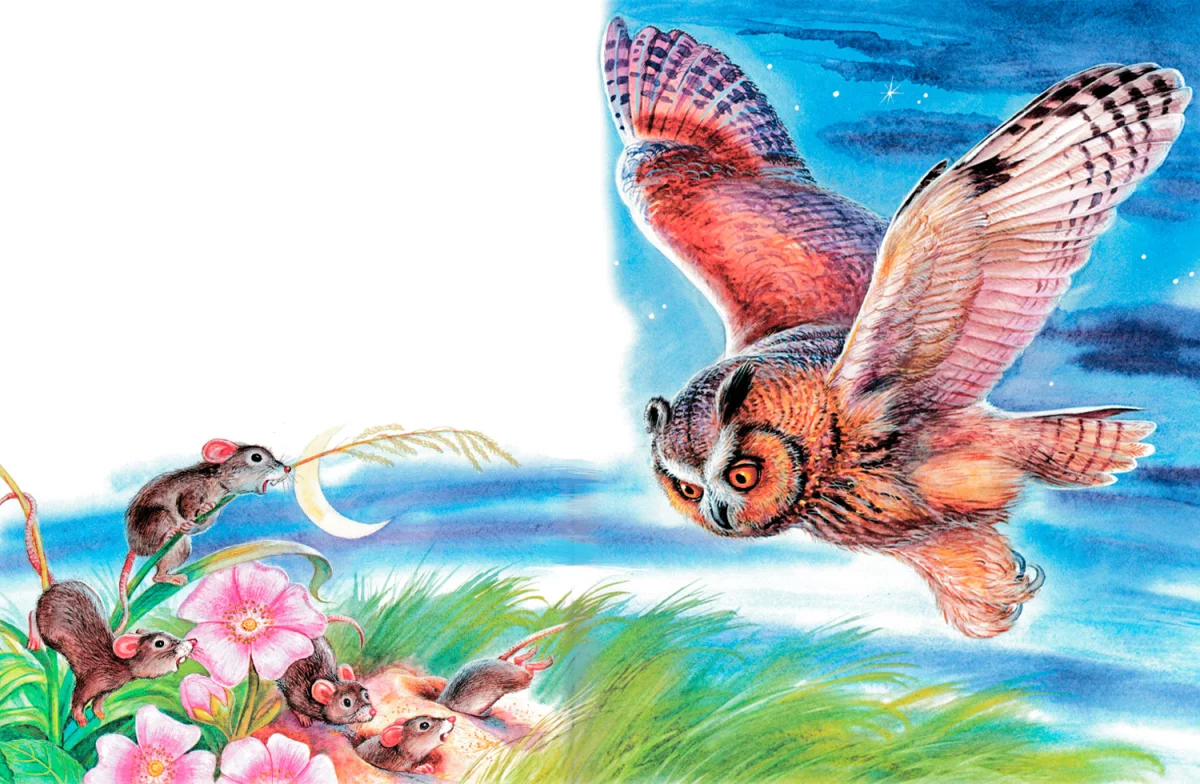 Сова охотится на мышей