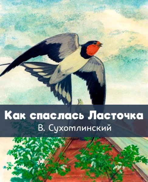 Как спаслась Ласточка