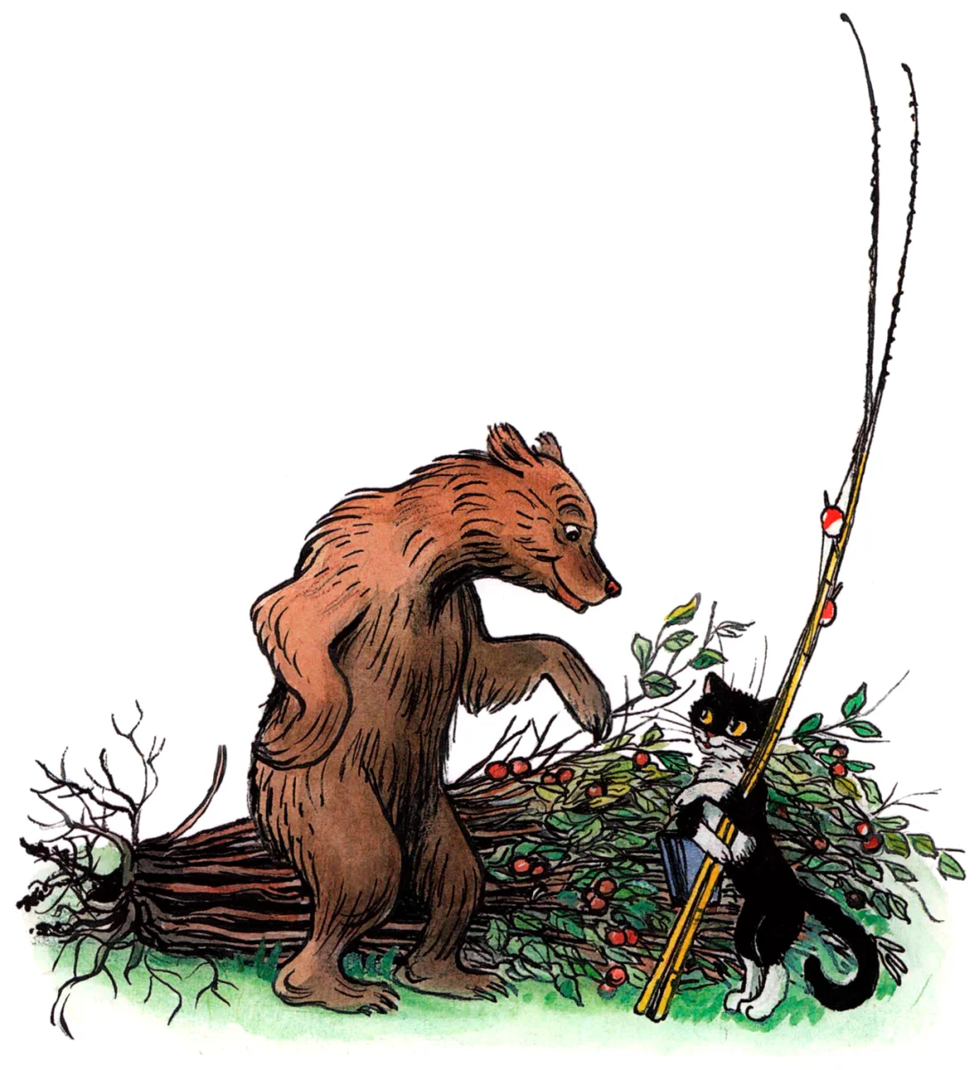 Медведь встретил кота