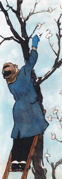 Мужчина вешает на дерево хлебный мякиш