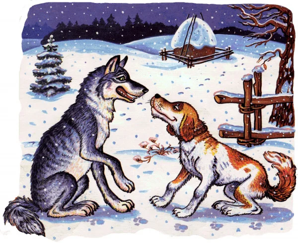 Как волк и пёс дружили