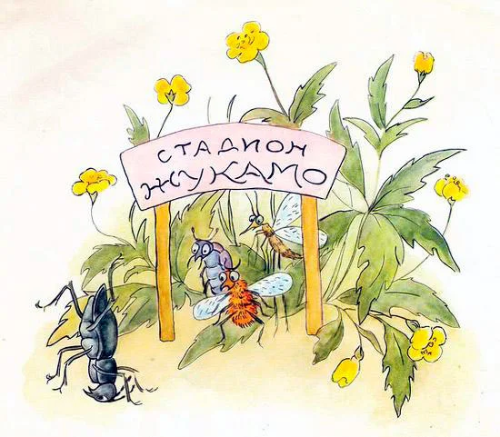 Вход на стадион Жукамо