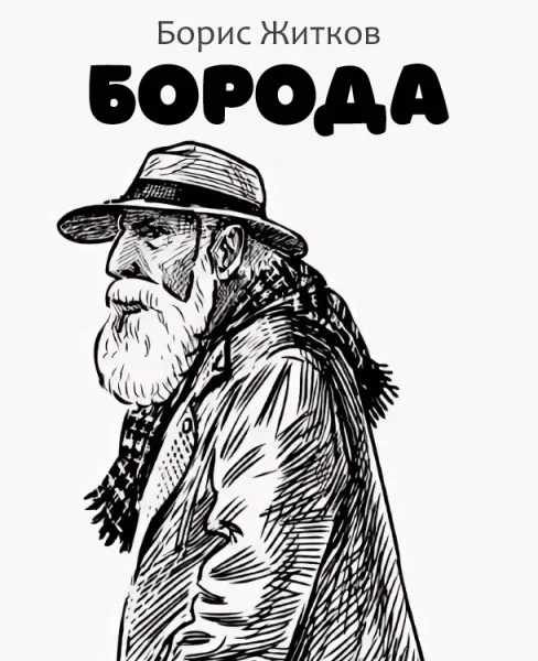 Борода
