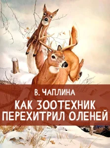 Как зоотехник перехитрил оленей