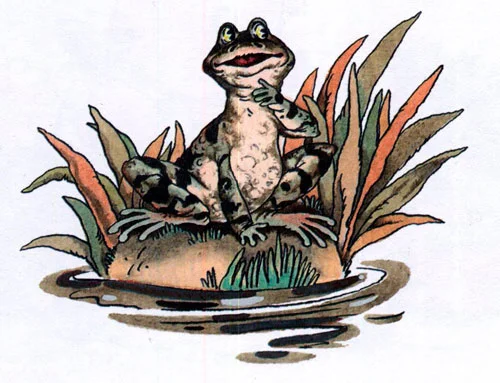 Лягушка-путешественница - картинка 11