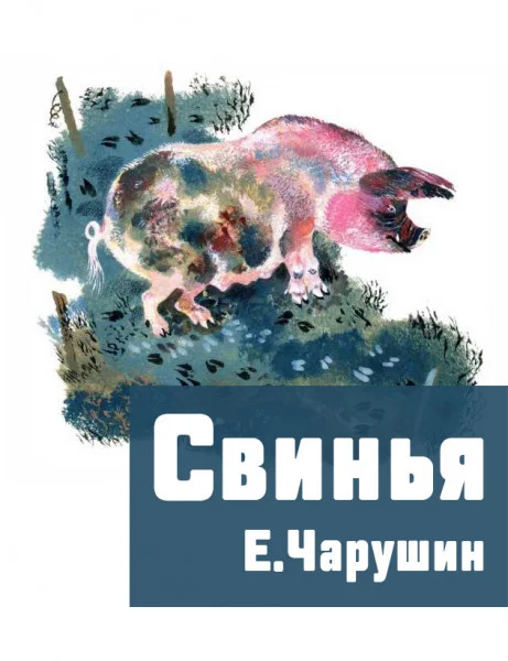 Свинья