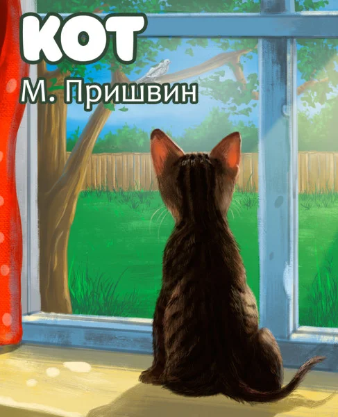 Кот