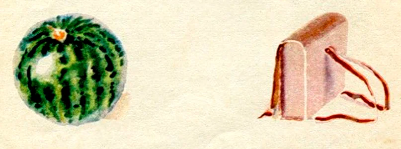 Арбуз и портфель