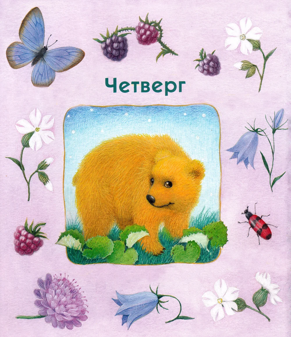 Мишка косолапый