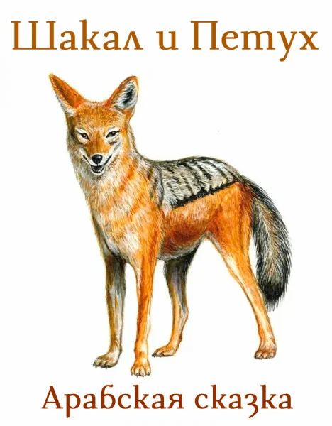 Шакал и Петух