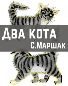 Два кота