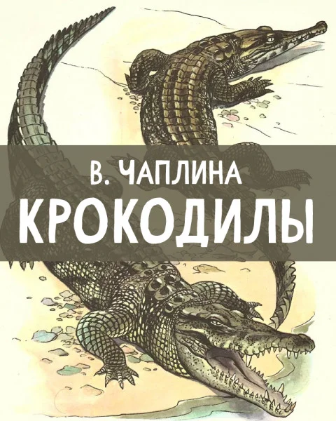 Крокодилы
