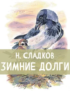 Зимние долги