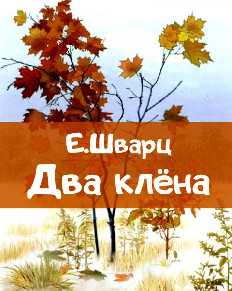Два клена