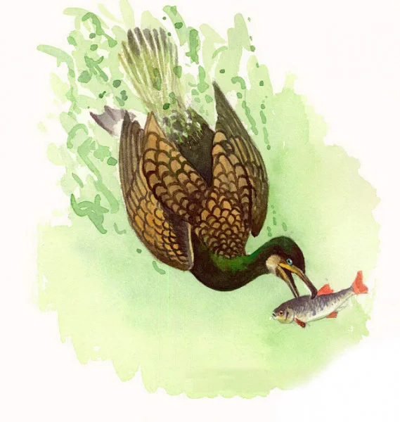 Рыба с жареной картошкой